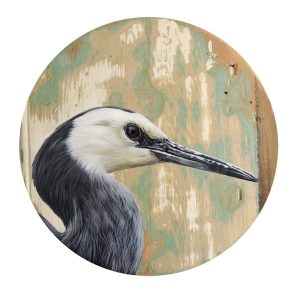 Kōtuku (White-faced Heron) Print