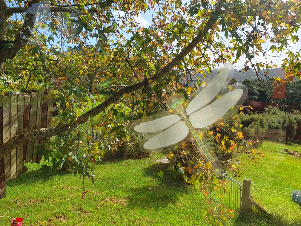 Anti Bird-Strike Window Stickers - Image 3