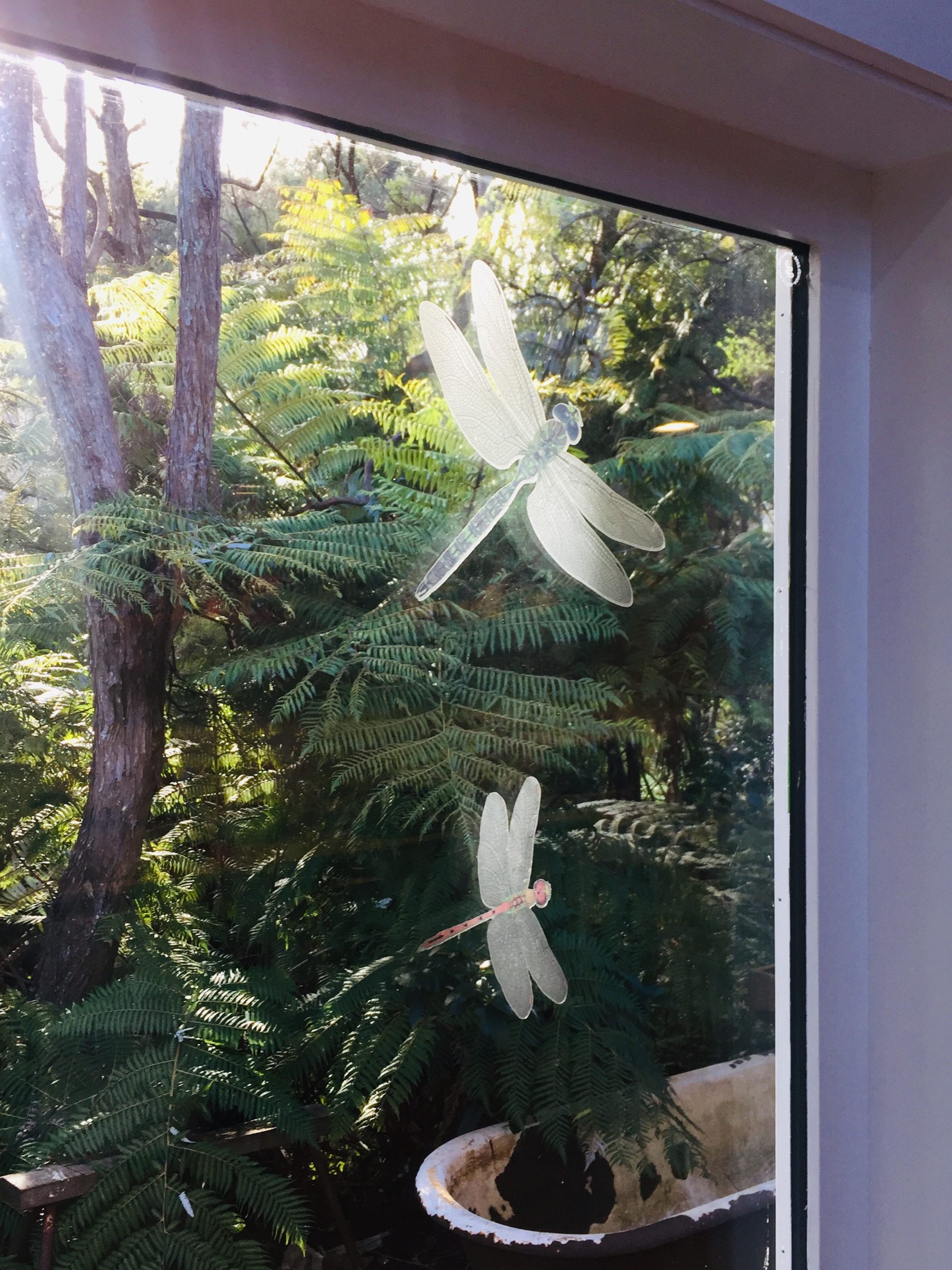 Anti Bird-Strike Window Stickers